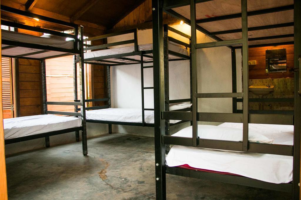 Wonderland Hostel Anjuna Chambre photo